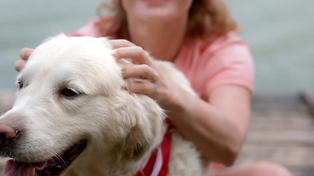 Woman pet her labrador with bandana of american flag