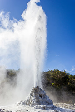 eruption of the Lady Knox Geyser, Wai-O-Tapu Thermal Wonderland, Rotorua, New Zealand