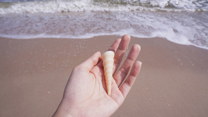 Hand Holding Shell