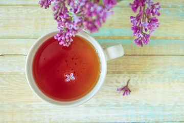 Tea and blooming lilac, petal in a cup