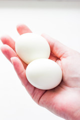 Fototapeta na wymiar Eggs in hand isolated on white background. Egg close up on a white background. White chicken eggs on a white background.