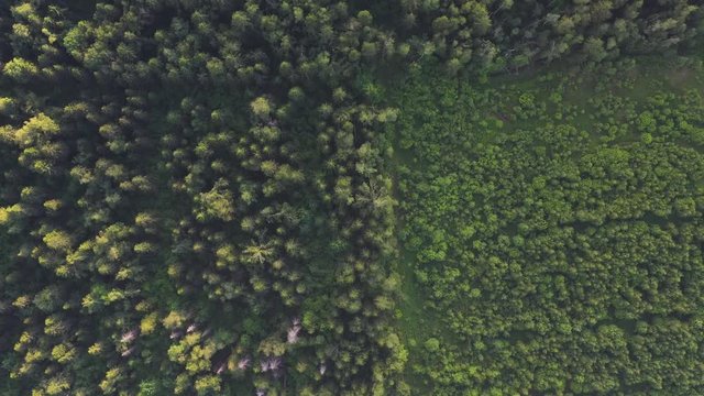 Aerial View Of Flying Above Summer Forest And Rural Village , Moscow Area