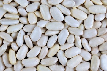 Beans white, popular food in cooking. Beans are an important and useful agricultural crop, boiled is used in food, in gardening as an ornamental plant.