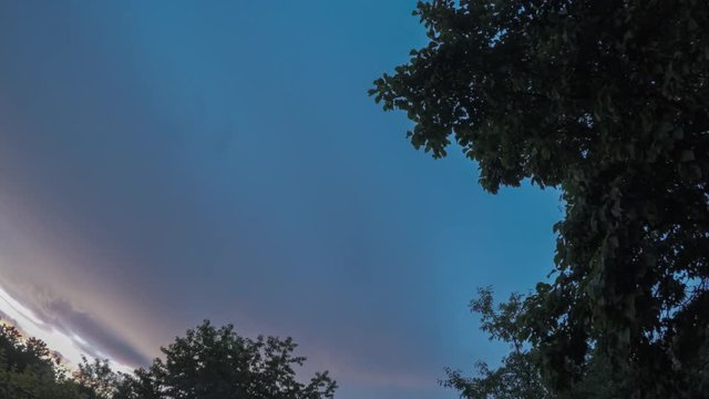 Time-lapse summer sky dusk dark blue and violet sky with the silhouette tree without wind in suburban of small town