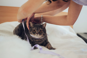 Bride in white luxury dress is getting ready for wedding. Morning preparations. Woman putting on dress.