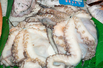 Venta de pulpo fresco en mercado.