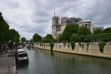 Fototapeta na wymiar Paris - Cattedrale di Notre-Dame (dopo l'incendio del 2019)