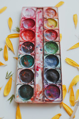 set of watercolors mixed together on a white background with flower petals and brush