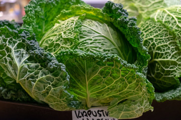 Close up of savoy cabbage for sale at market of Wroclaw