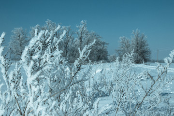 winter landscape with lake and snow