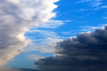Obraz premium Beautiful white and dark clouds, rain, cumulus clouds against a blue sky. Picturesque, fantastic clouds. Plain landscape background for summer, spring poster.