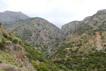 Fototapeta na wymiar Kreta, Kavousi, Wanderweg