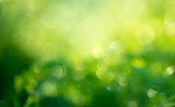 Abstract blurred image of nature green with sun light flare, summer texture background or wallpaper