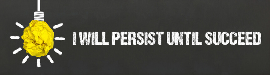 I will persist until succeed