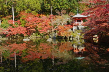京都、醍醐寺にある弁天堂と弁天池の紅葉のリフレクション