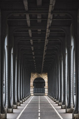 Obraz premium Cityscape of the perspective of the architectural Bir Hakeim bridge in Paris
