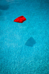 red swimming trunks floating on a swimming pool - Caught With Your Pants Down