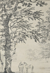 Fototapeta premium Trees