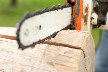 Sägekette und Sägeblatt einer Motorkettensäge