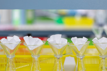 The study Separating by filtration the component substances from liquid mixture in Lab. 