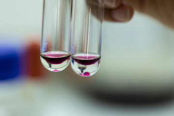The study Separating by filtration the component substances from liquid mixture in Lab. 