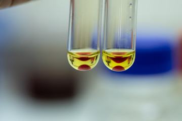 The study Separating by filtration the component substances from liquid mixture in Lab. 