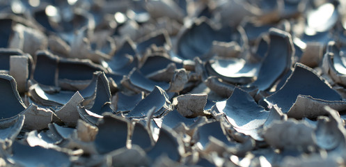 Fototapeta premium Details of the cracked earth drought close up
