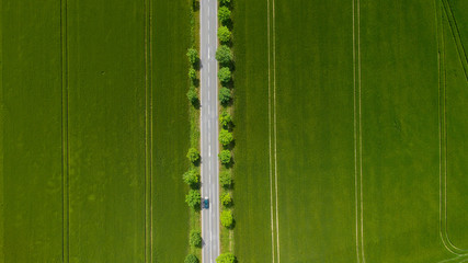 Landstraße durch Gerstenfelder