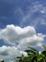 Large amound of clouds in the sky over banana field.  Concept about relax in nature, tropical climate.