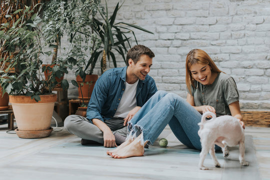 Young Couple Sitting At Rustic Living Room Floor And Playing With Dog