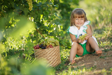 A child with fruit. The girl collects grapes. 