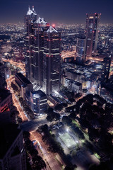 Naklejka premium 東京夜景