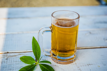 屋外ビール