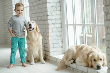 Child with a dog at home 