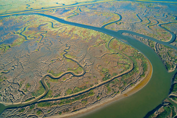 Estuary at Bair Island Marine Park in Redwood City, CA, aerial view