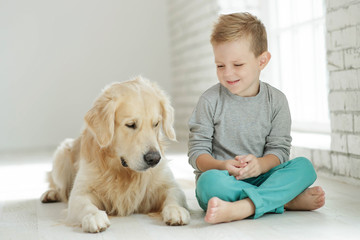 Child with a dog at home 