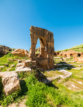 Daraa Bilder Durchsuchen 1,303 Archivfotos, und Videos