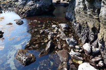 城ヶ島の海岸にて