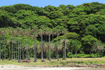 南伊豆　弓ヶ浜
