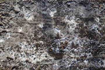 Closeup photograph of shattered ice in a frozen puddle.