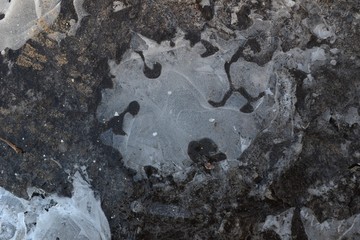 Closeup photograph of air bubbles in a frozen puddle.