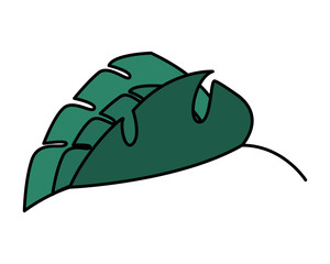 leaf foliage natural botanical