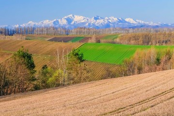 北海道大地と荒野と丘