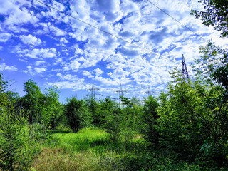 Fototapeta premium Green trees in the meadow against the blue sky with clouds
