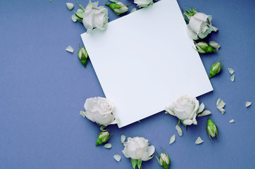 Greeting card template with beautiful gentle lilac color roses, petals and white card for text on a blue background.