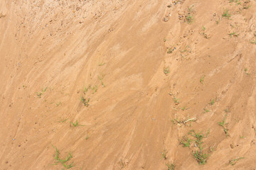 Small grass grows on the yellow sand land texture in the desert