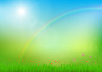 Fototapeta premium Meadow with rainbow and sunlight, fresh green nature background vector illustration