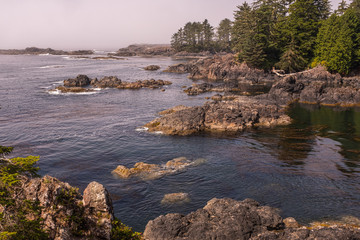 The rugged Wild Pacific Rim Trail, with fog clinging to the rocks at Ucluelet, on the Ucluelet Peninsula on the west coast of Vancouver Island in British Columbia, Canada nobody in the image