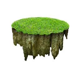 The grass on the rock on a floating island on a white background with sunshine is ready to use completely.