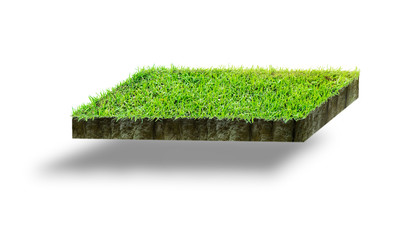 The grass on the rock on a floating island on a white background with sunshine is ready to use completely.